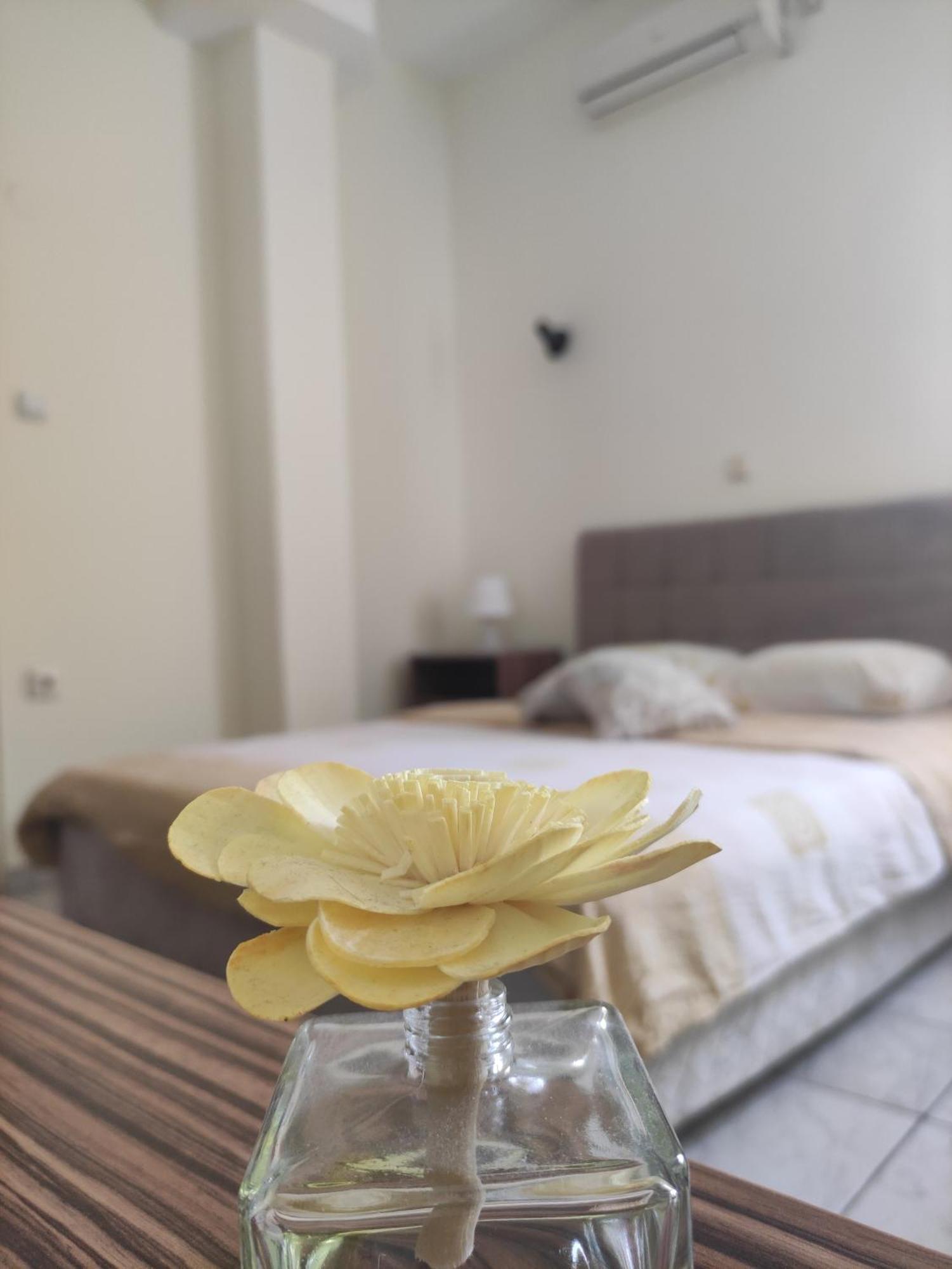B&B Bebinac Лесковац Экстерьер фото